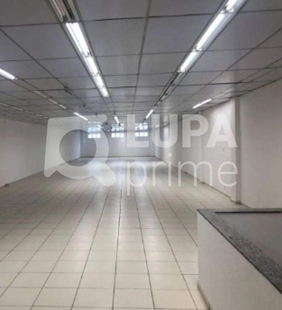 Loja-Salão, 1165 m² - Foto 3
