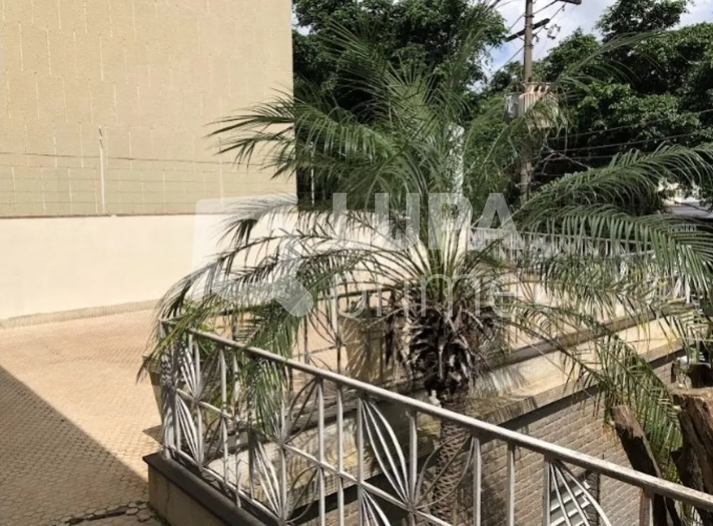 Sala-Conjunto, 240 m² - Foto 1