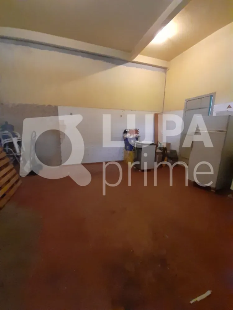 Casa, 5 quartos, 198 m² - Foto 11