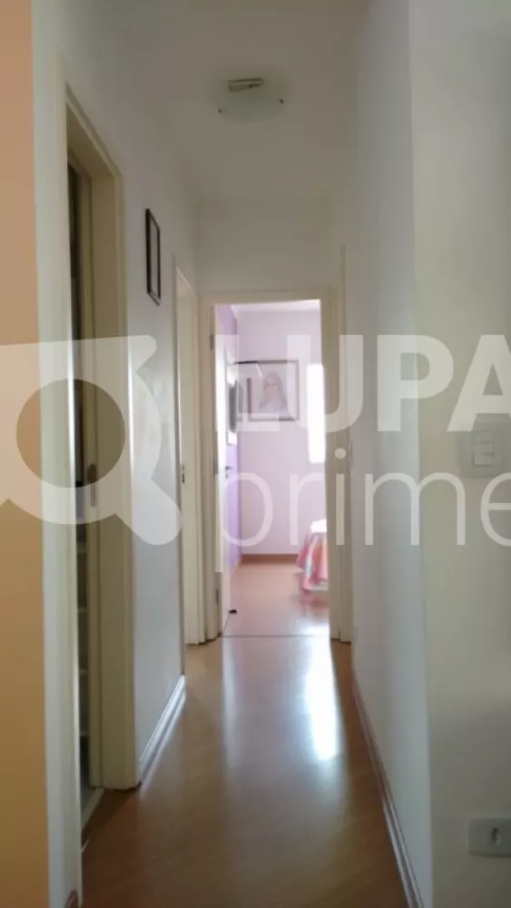 Apartamento à venda com 3 quartos, 78m² - Foto 4