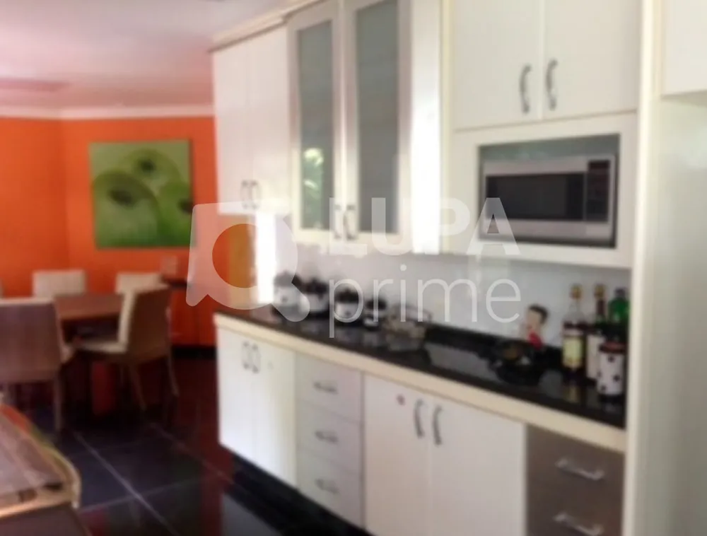 Casa, 4 quartos, 560 m² - Foto 3