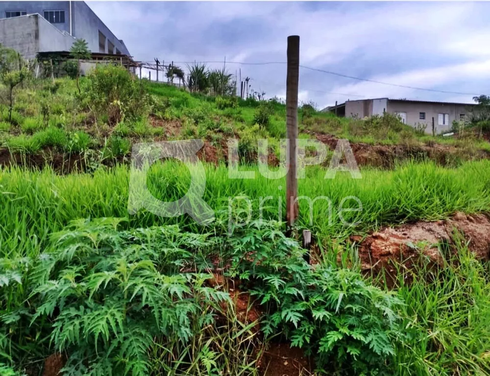 Terreno, 468 m² - Foto 4