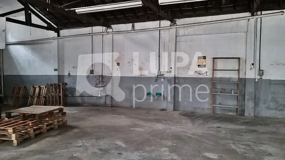 Depósito-Galpão, 250 m² - Foto 1