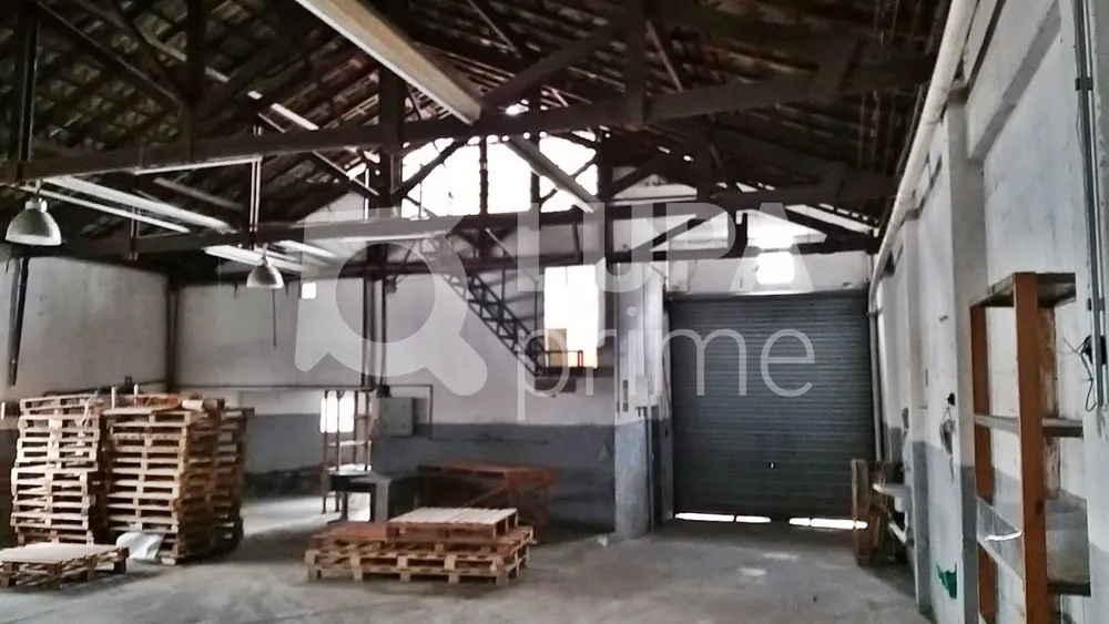 Depósito-Galpão, 250 m² - Foto 3
