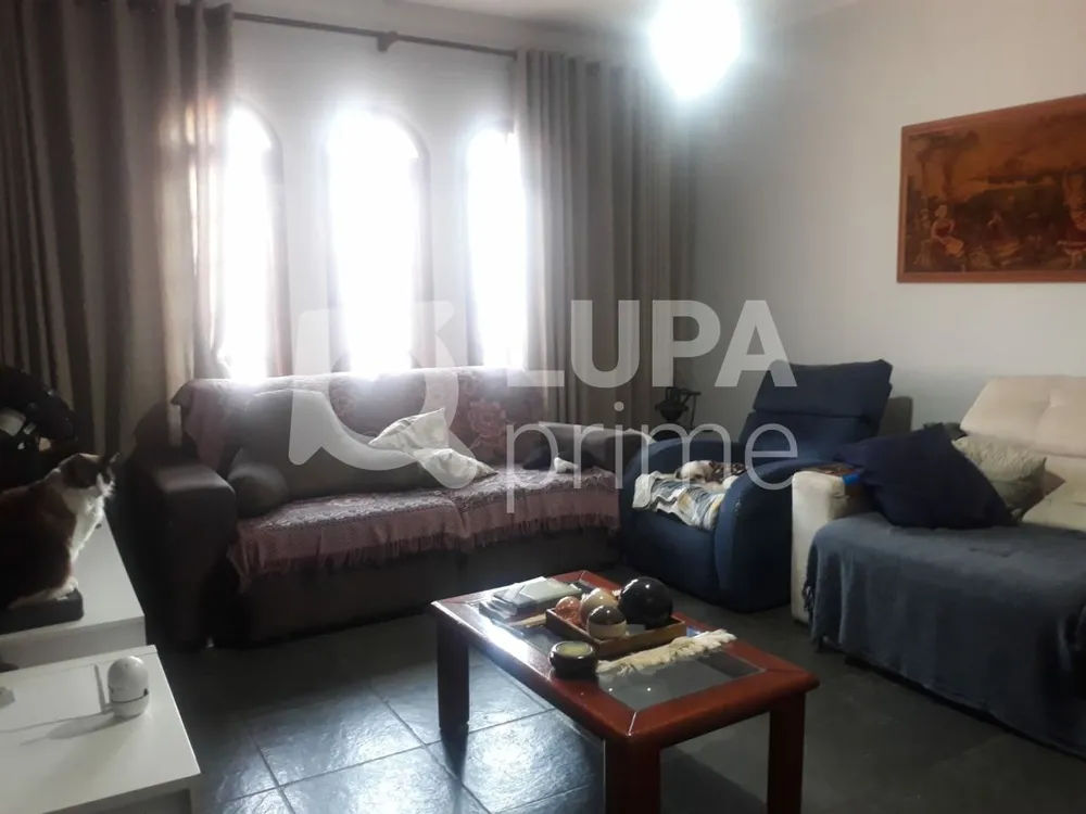 Casa, 3 quartos, 146 m² - Foto 3
