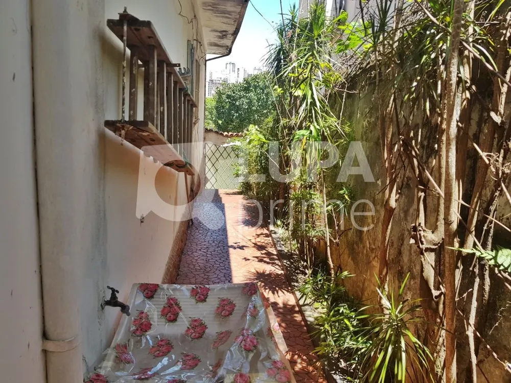 Casa, 3 quartos, 252 m² - Foto 11