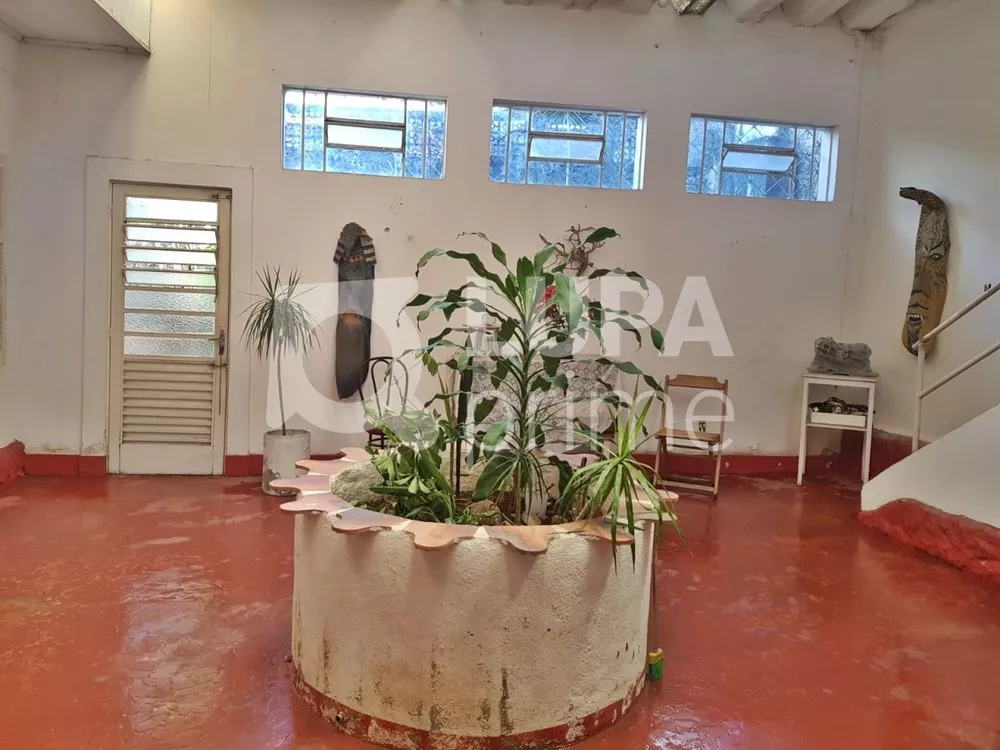 Casa, 3 quartos, 252 m² - Foto 4