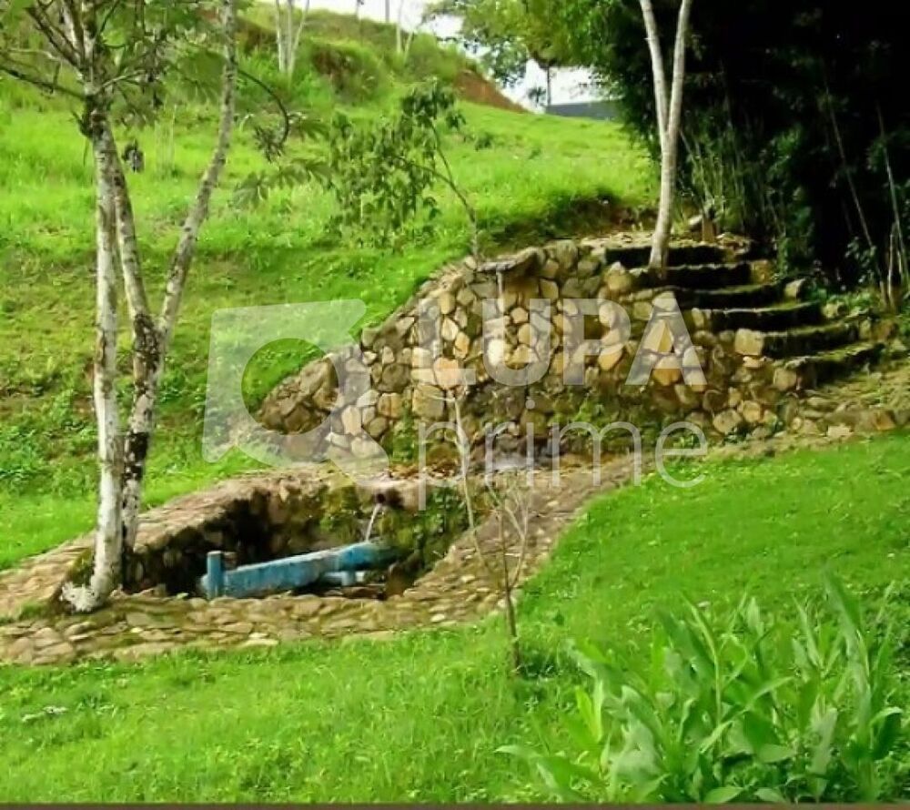 Fazenda, 133 hectares - Foto 4