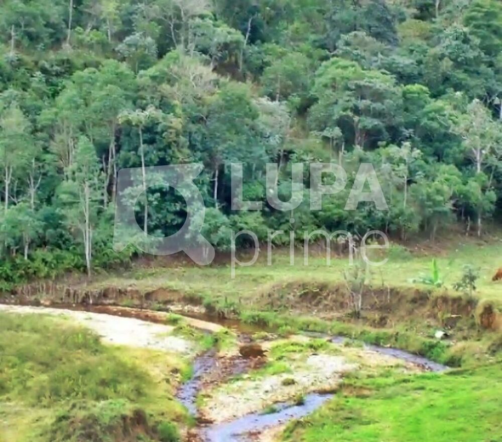 Fazenda, 133 hectares - Foto 7