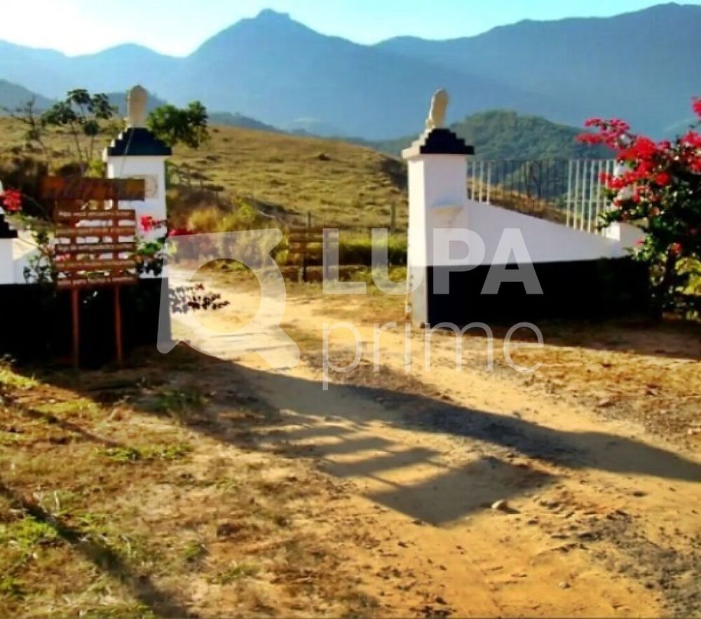 Fazenda, 133 hectares - Foto 8