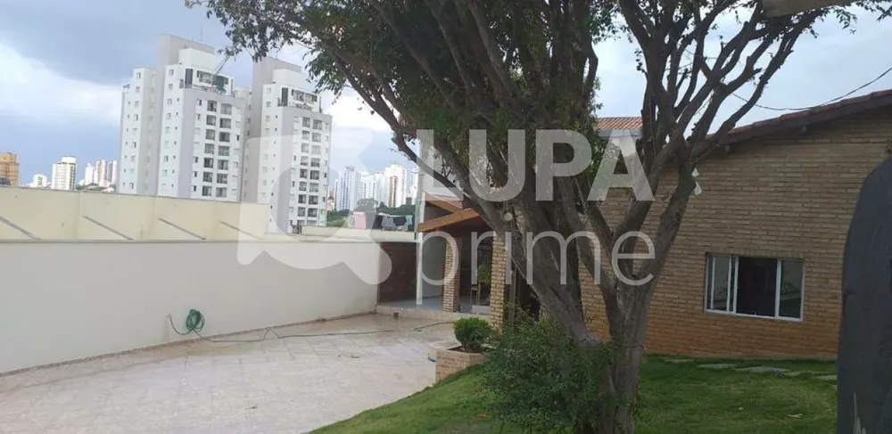 Casa, 3 quartos, 300 m² - Foto 6