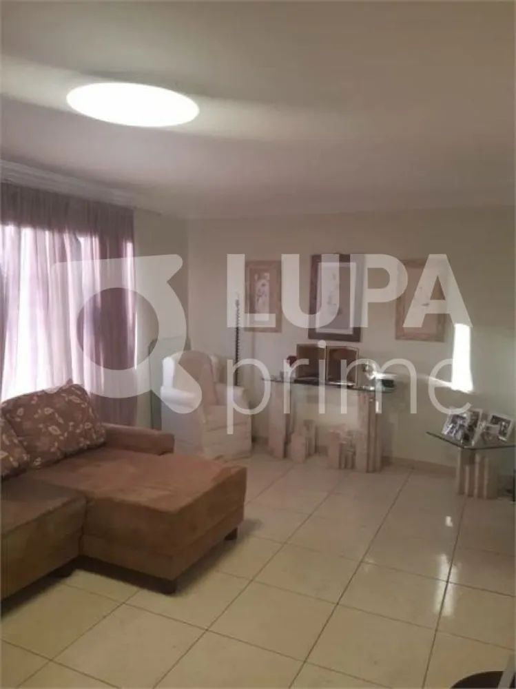 Casa, 3 quartos, 400 m² - Foto 5
