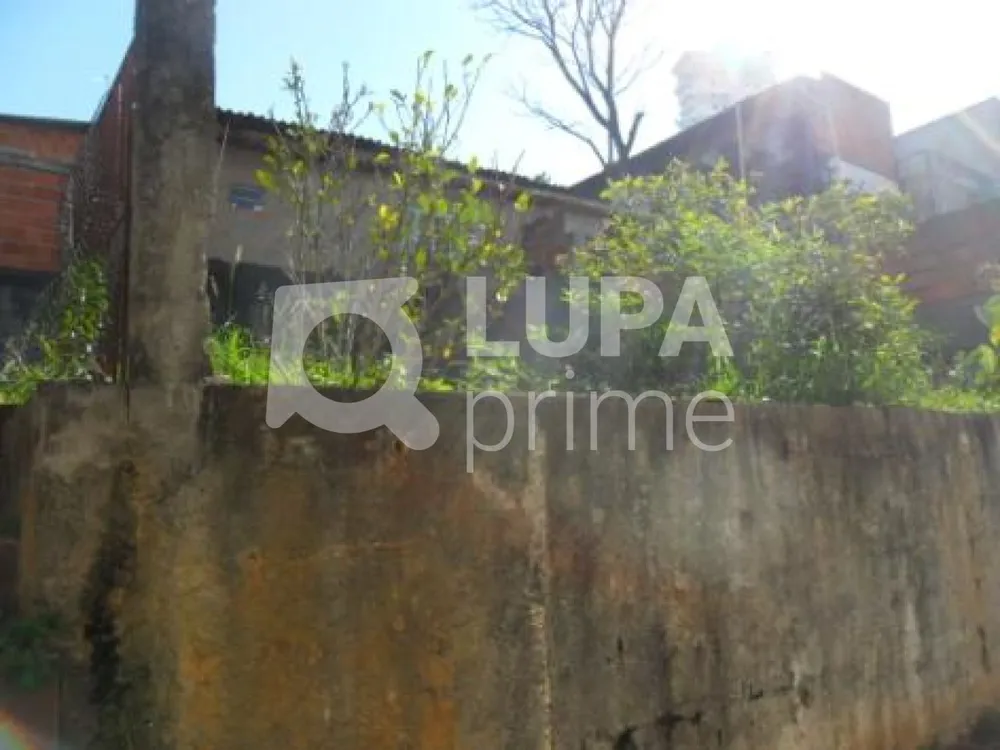 Casa, 3 quartos, 205 m² - Foto 3