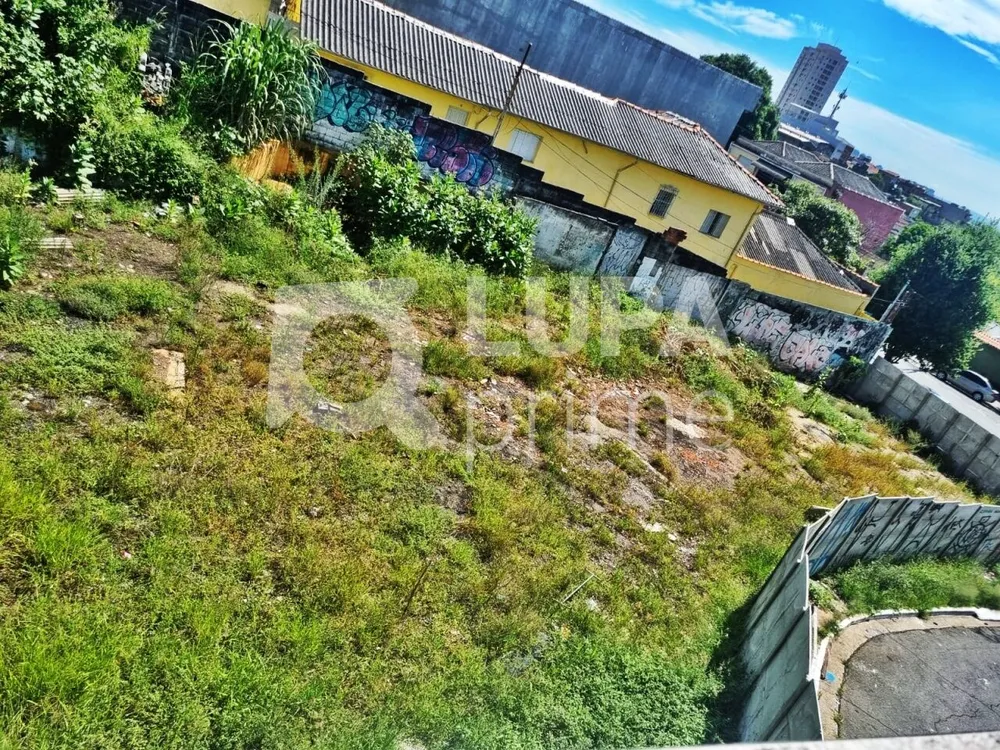 Terreno, 825 m² - Foto 5