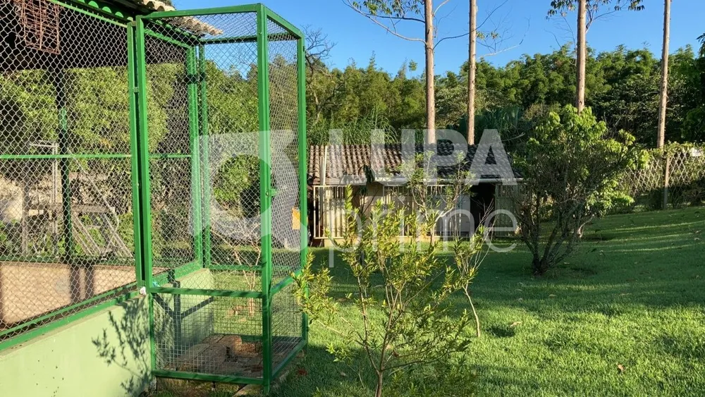Casa, 4 quartos, 520 m² - Foto 4