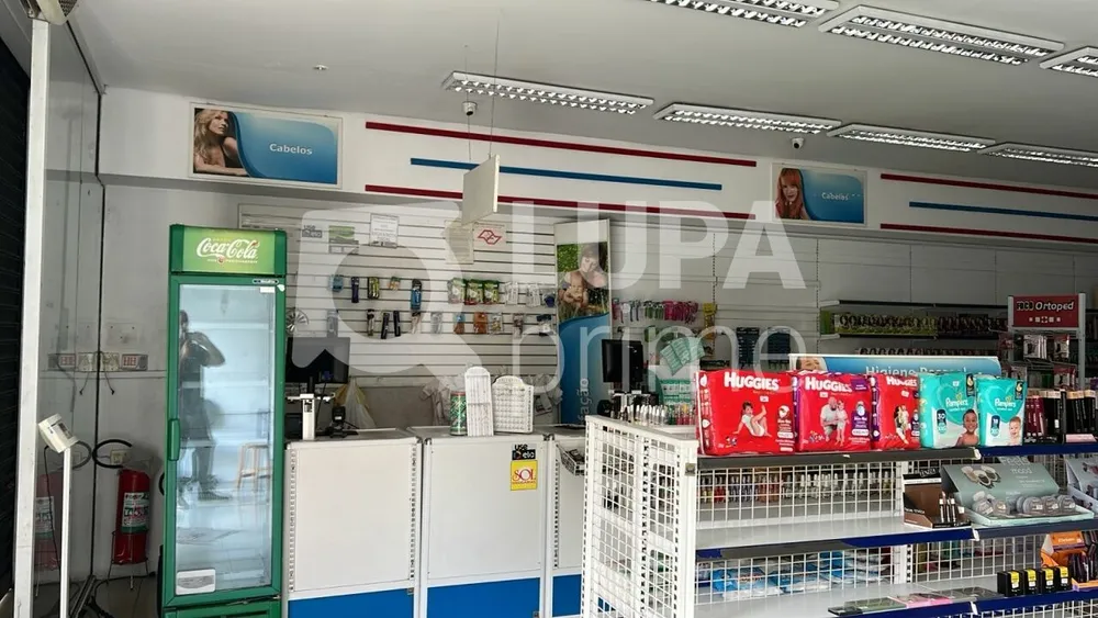 Loja-Salão, 300 m² - Foto 5