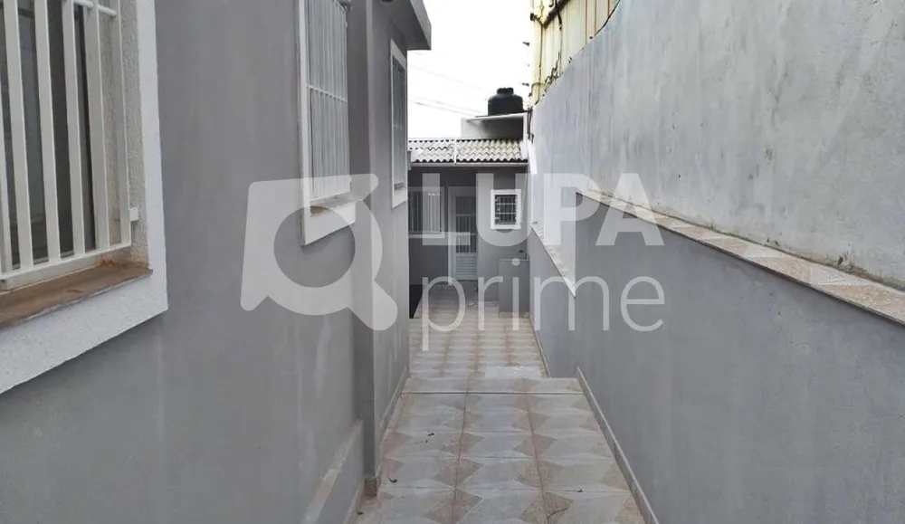 Casa, 6 quartos, 250 m² - Foto 10