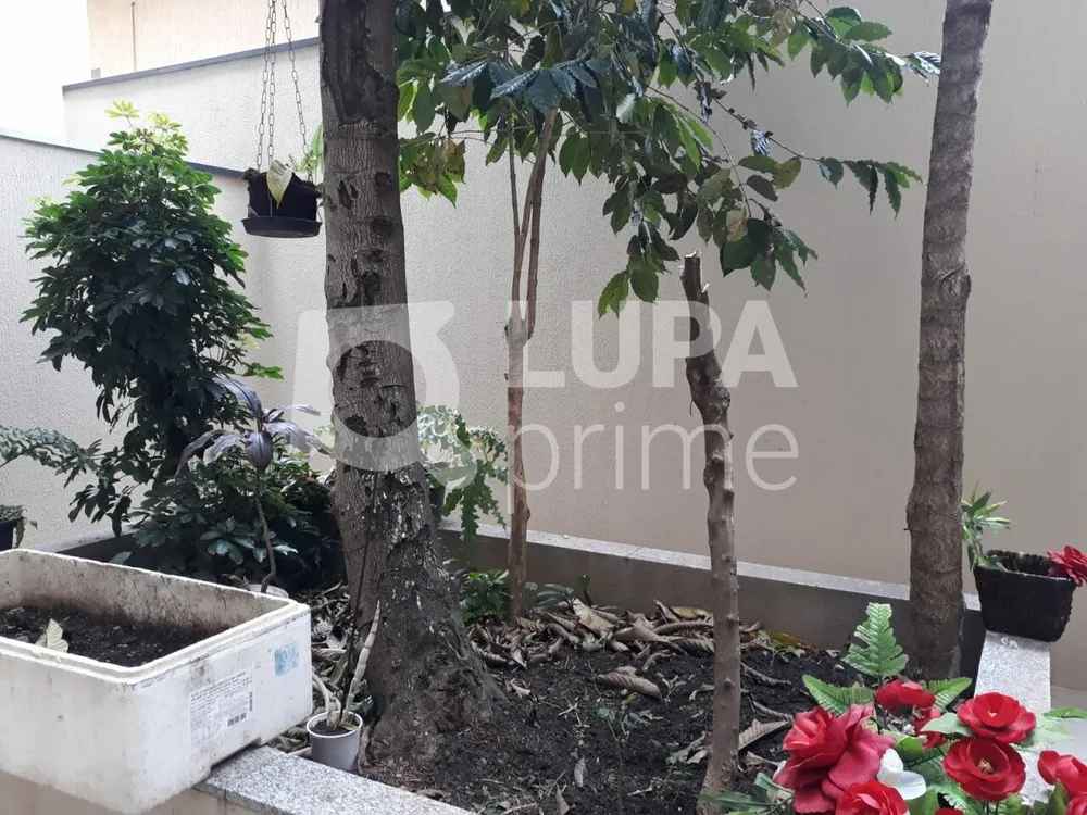 Apartamento, 1 quarto, 30 m² - Foto 4