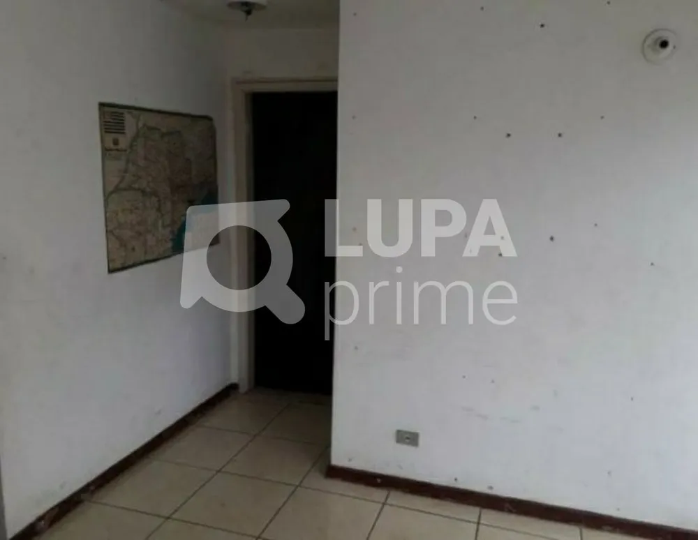 Casa, 3 quartos, 480 m² - Foto 5