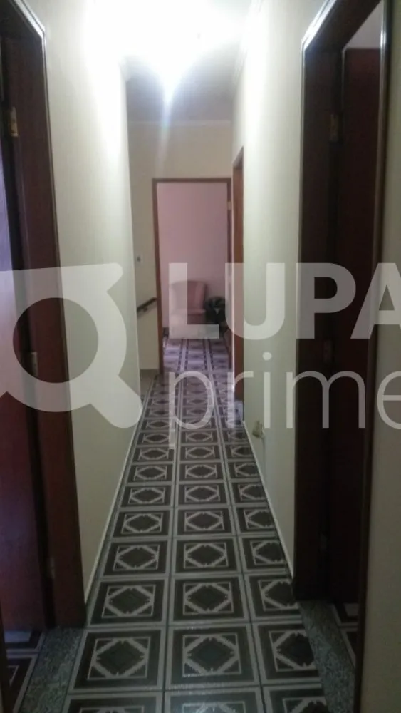 Casa, 5 quartos, 330 m² - Foto 12