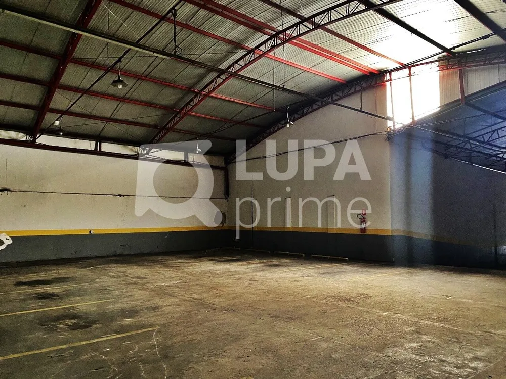 Sala-Conjunto, 1196 m² - Foto 2