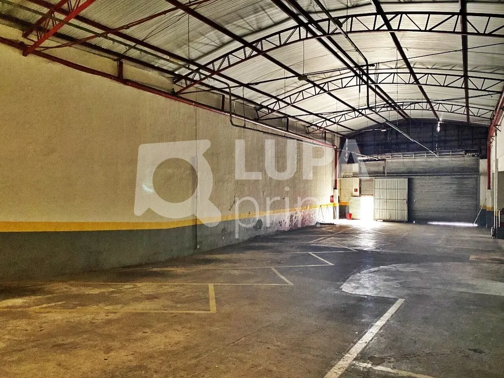 Sala-Conjunto, 1196 m² - Foto 5