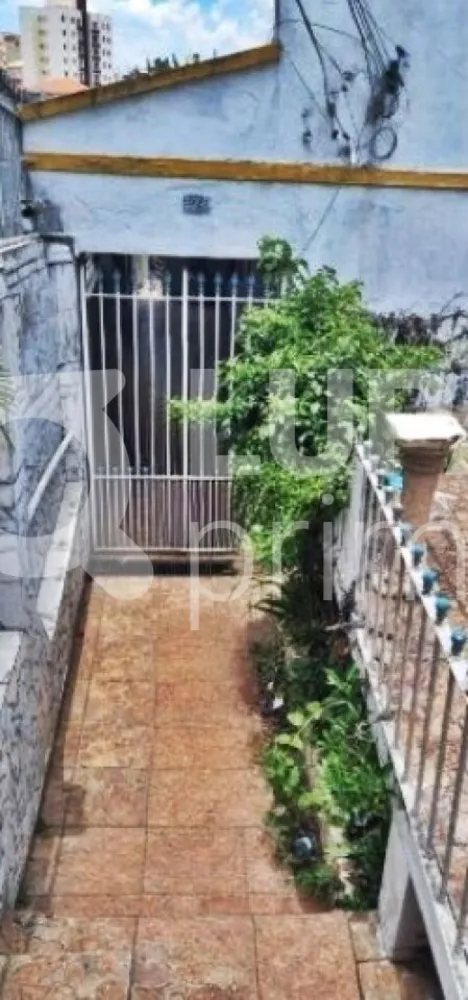 Terreno, 198 m² - Foto 3