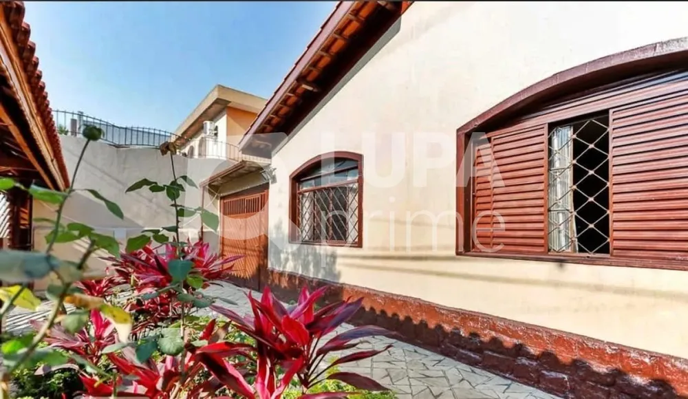 Casa, 4 quartos, 180 m² - Foto 10