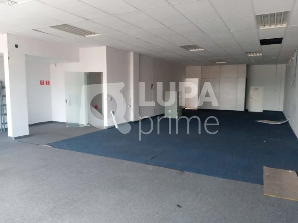 Sala-Conjunto, 190 m² - Foto 3