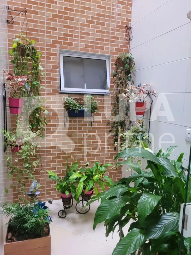 Casa, 3 quartos, 150 m² - Foto 11