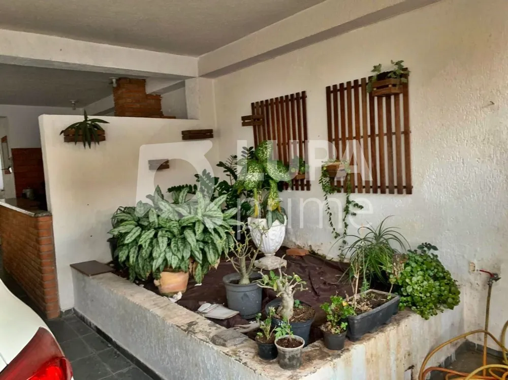 Casa, 3 quartos, 200 m² - Foto 6
