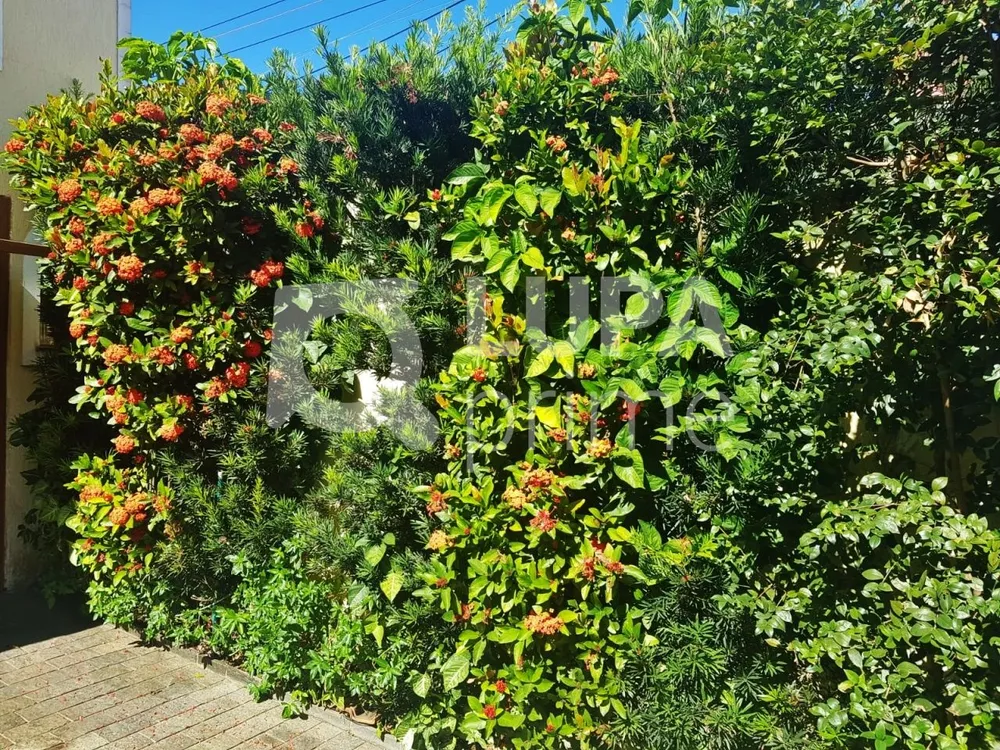 Casa, 3 quartos, 220 m² - Foto 14