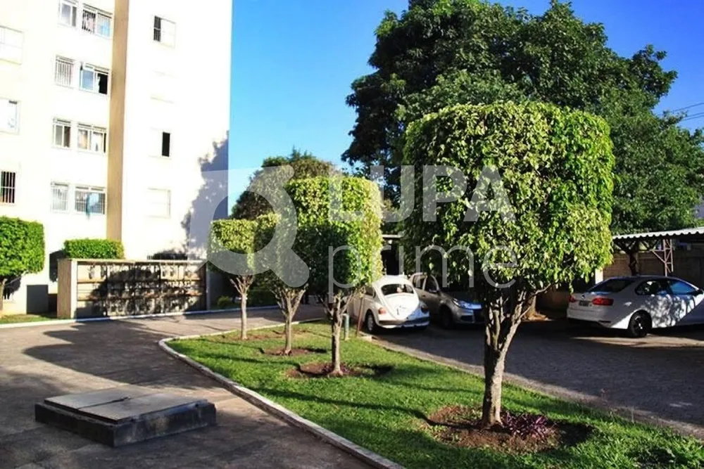 Apartamento, 2 quartos, 50 m² - Foto 12
