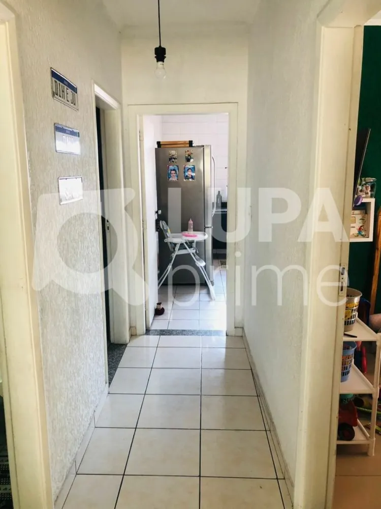 Casa, 3 quartos, 267 m² - Foto 6