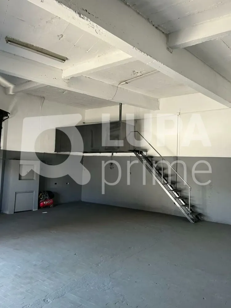 Casa, 3 quartos, 238 m² - Foto 12