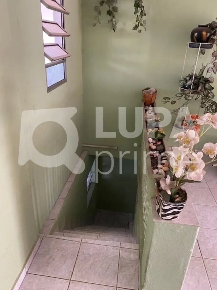 Casa, 7 quartos, 460 m² - Foto 2