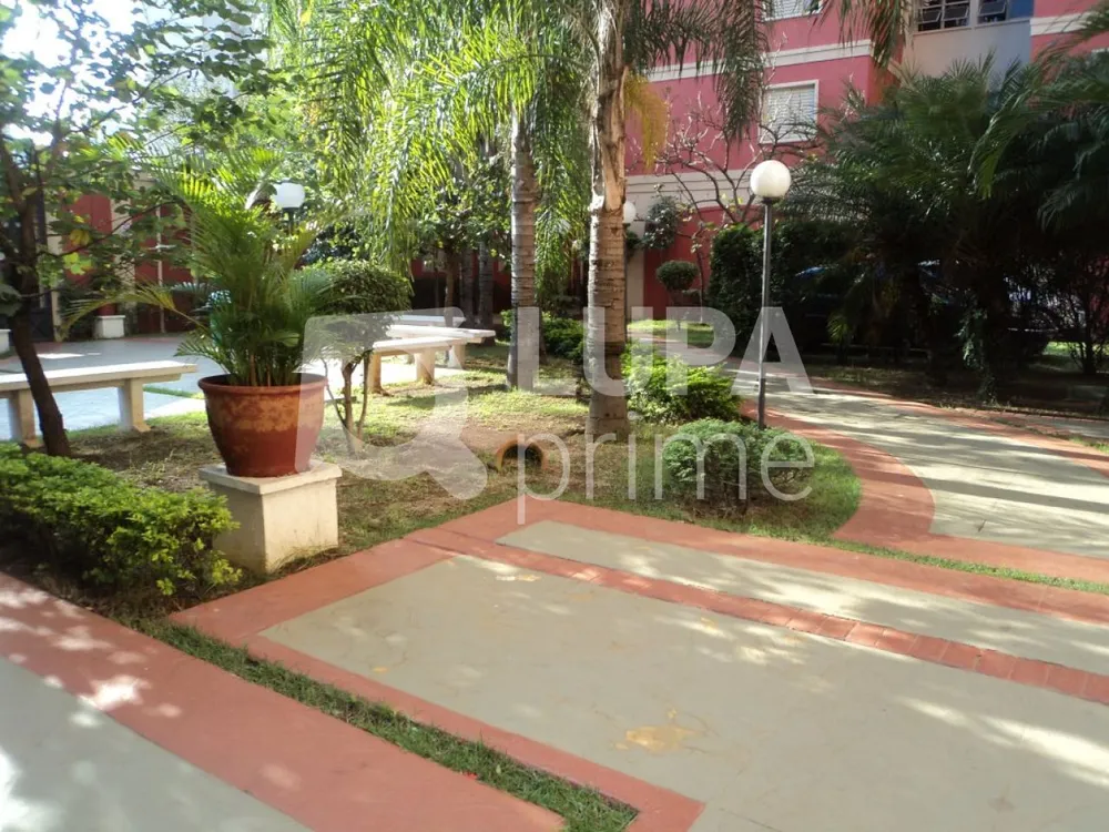 Apartamento, 3 quartos, 60 m² - Foto 12