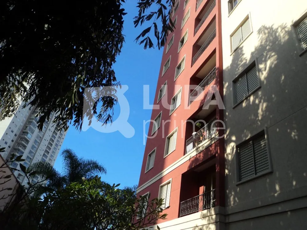 Apartamento, 3 quartos, 60 m² - Foto 7