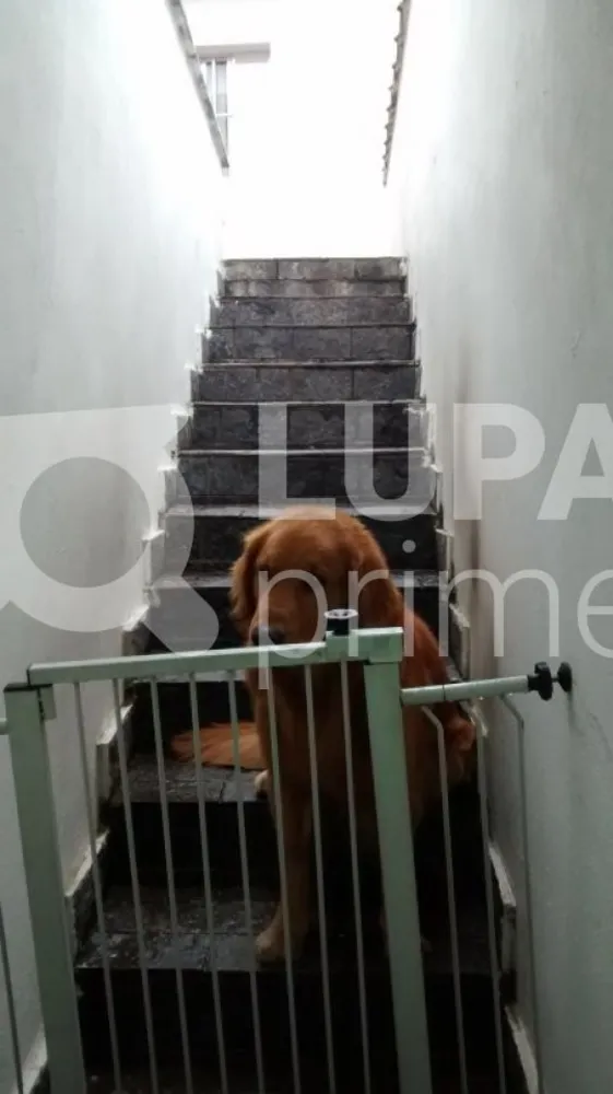 Casa, 3 quartos, 200 m² - Foto 6