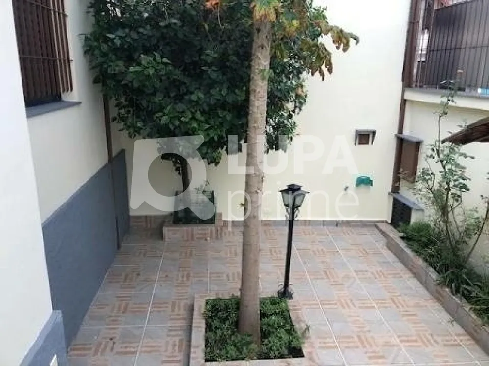 Casa, 3 quartos, 200 m² - Foto 4