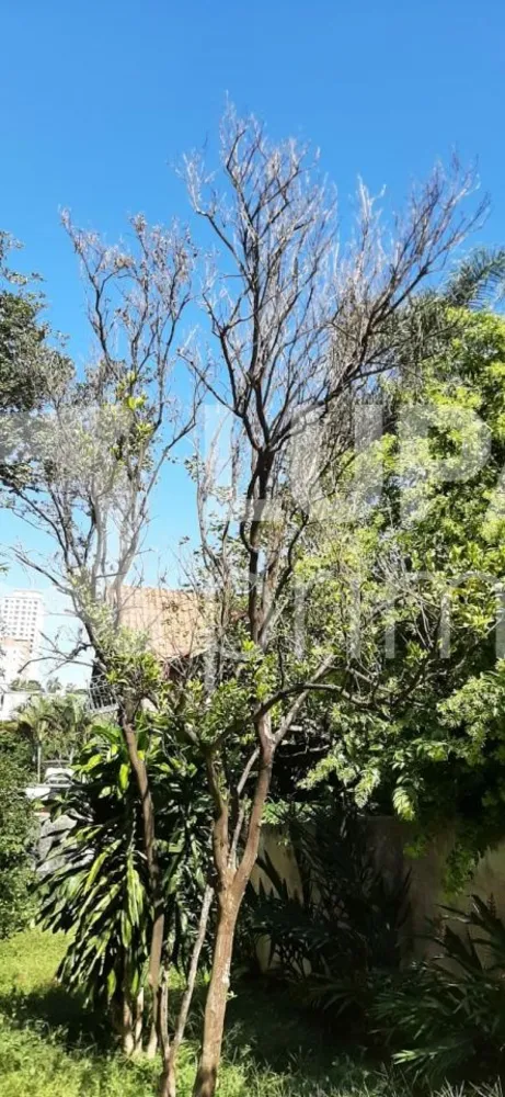 Casa, 2 quartos, 100 m² - Foto 3
