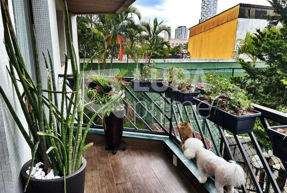 Apartamento, 3 quartos, 186 m² - Foto 1