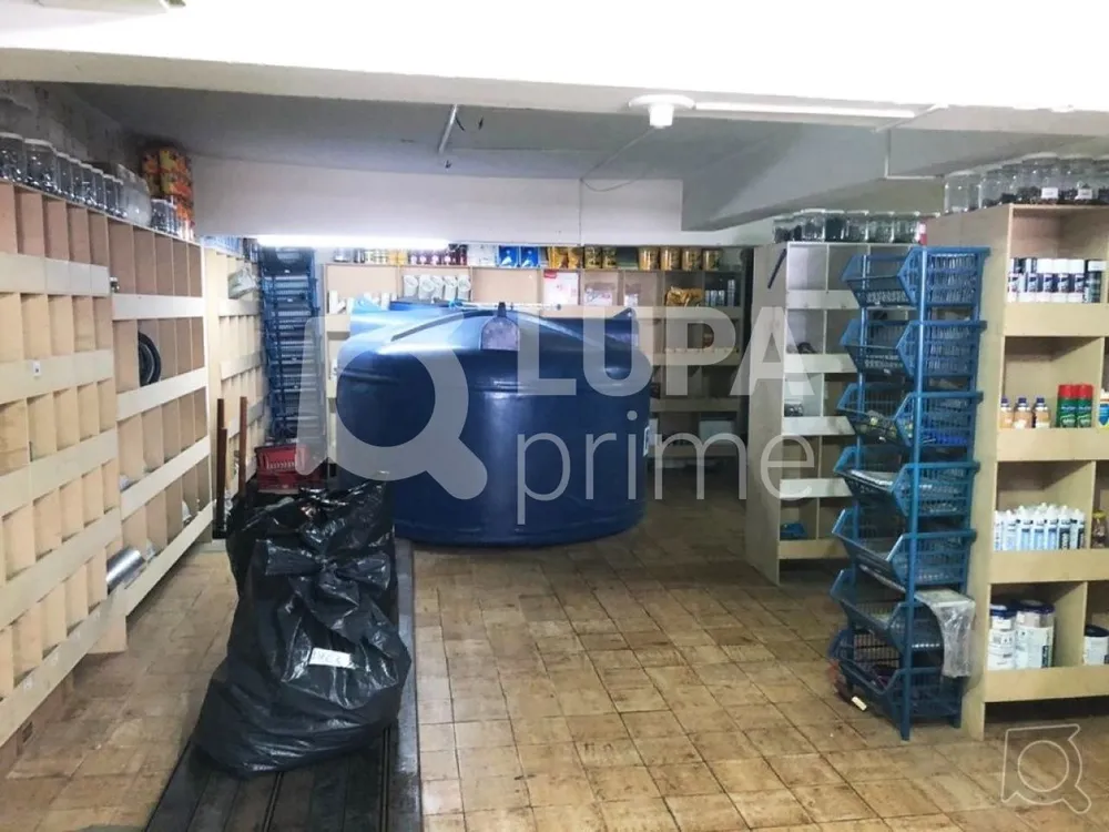 Casa, 4 quartos, 250 m² - Foto 12
