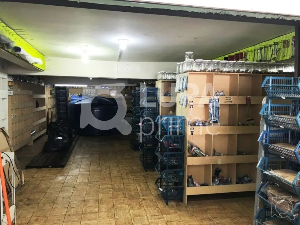 Casa, 4 quartos, 250 m² - Foto 2