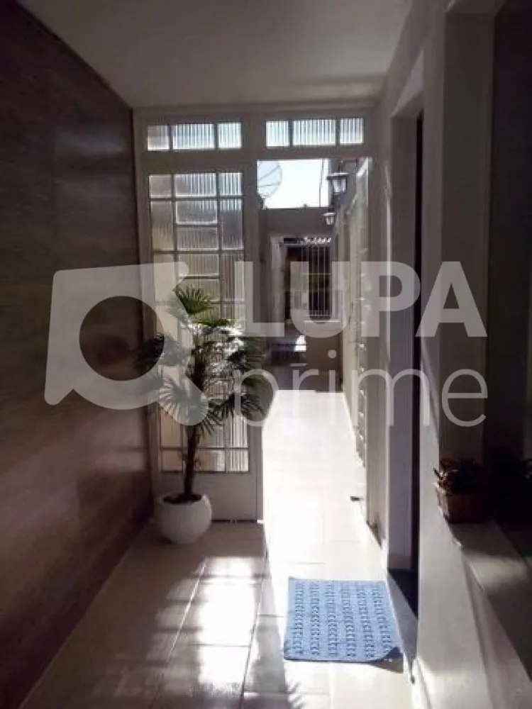Casa, 3 quartos, 590 m² - Foto 4