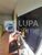 Apartamento, 2 quartos, 51 m² - Foto 2