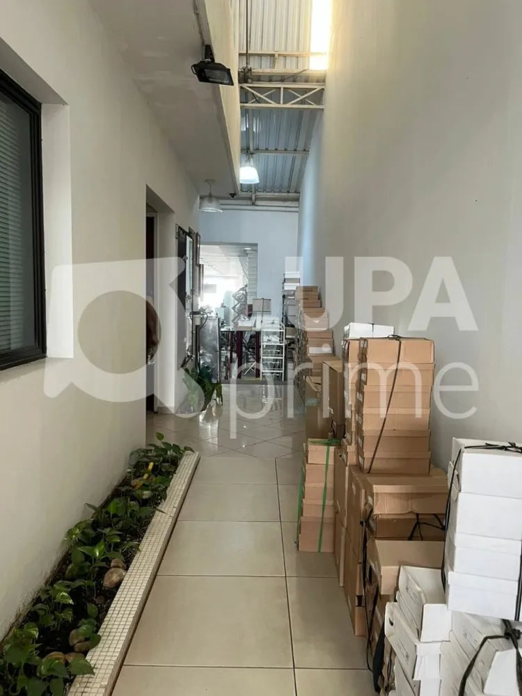 Loja-Salão, 250 m² - Foto 3