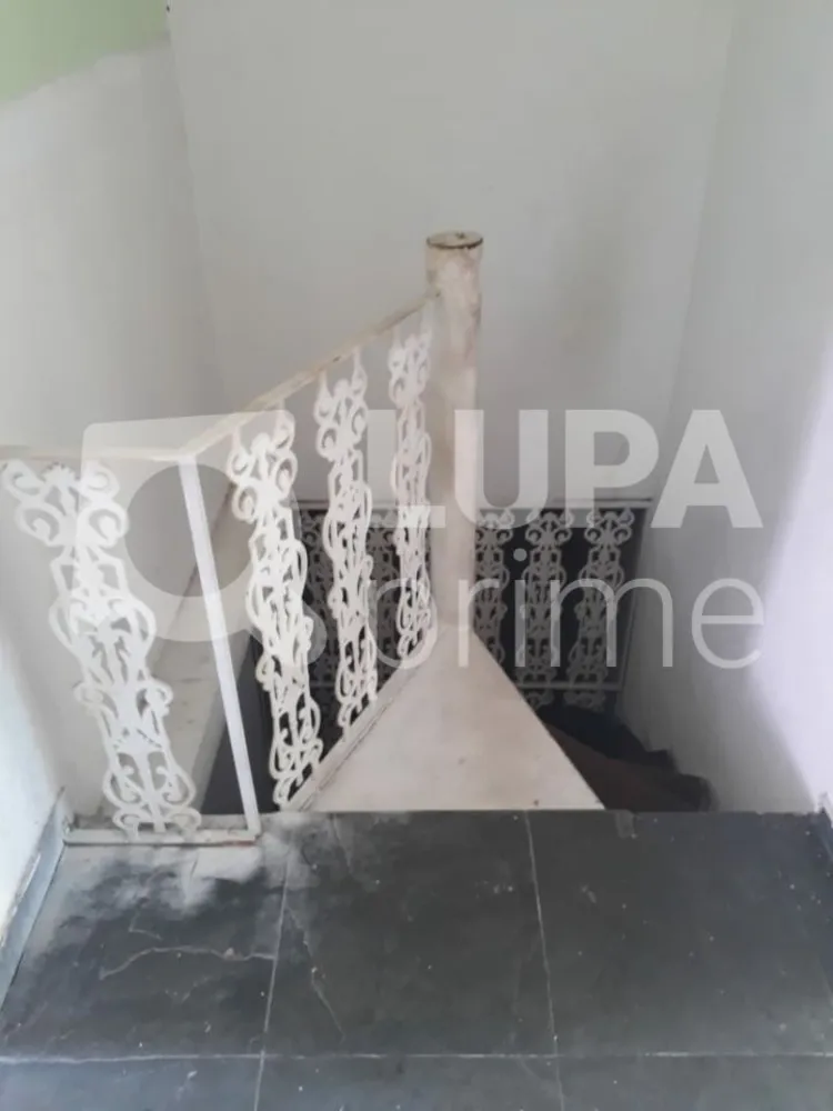 Casa, 4 quartos, 163 m² - Foto 4