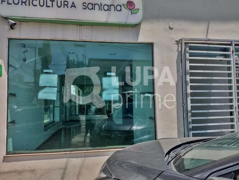 Casa, 3 quartos, 220 m² - Foto 4