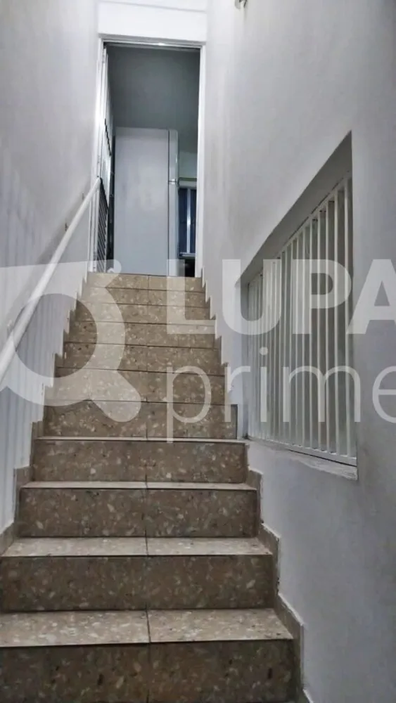 Casa, 8 quartos, 224 m² - Foto 4